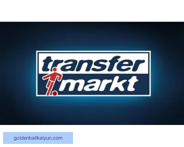 罗德里在德转市场价值持续提升，备受各方关注