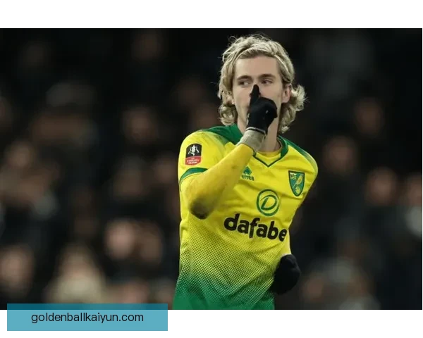 诺维奇降级后获英冠升级补偿机制关注压力有望缓解